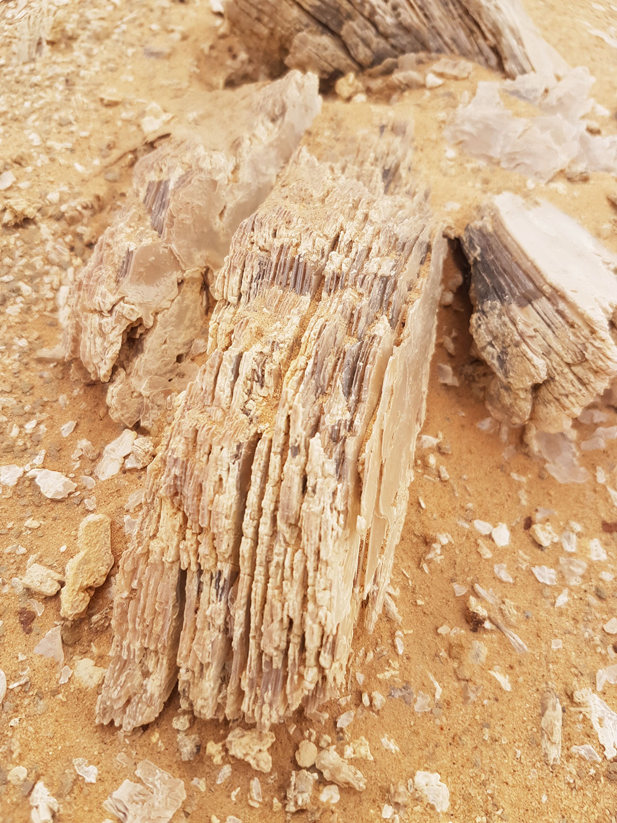 Gypsum formations in the Algerian Sahara