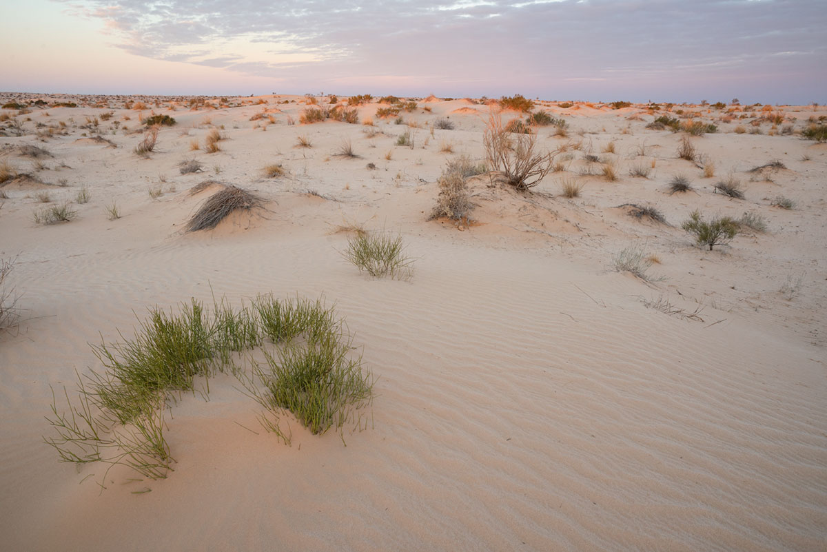 The lights of the Sahara change the landscape