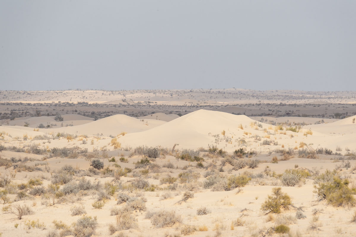 Le Sahara algérien