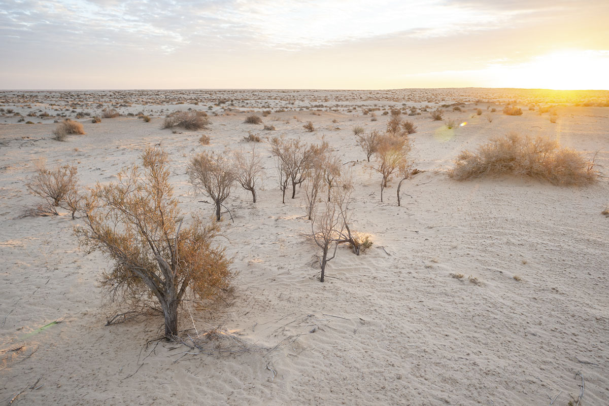 The slience of the Sahara