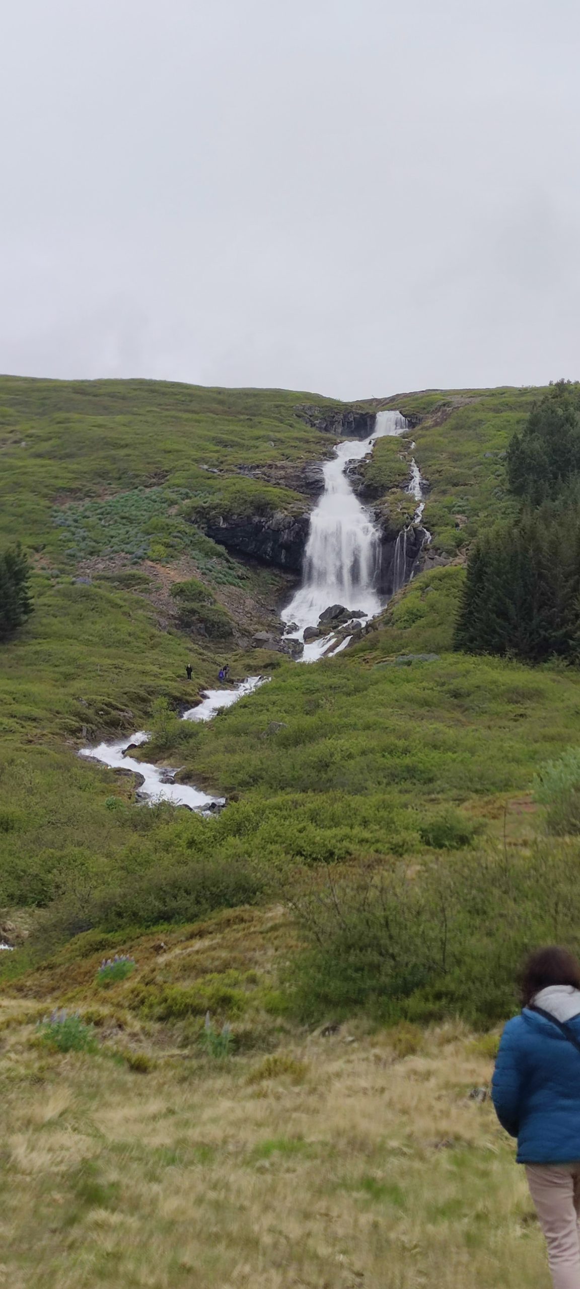 Visit Bunárfoss near Isafjordur