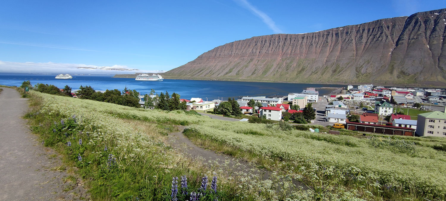 Visit the town of Isafjordur