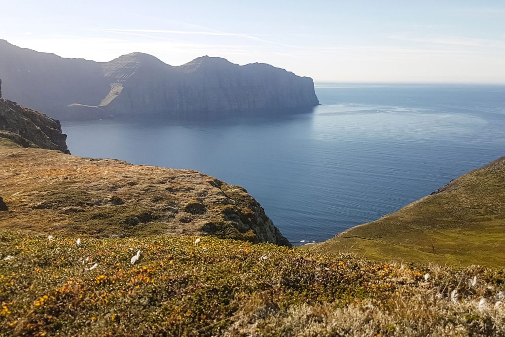 Hornstrandir nature reserve