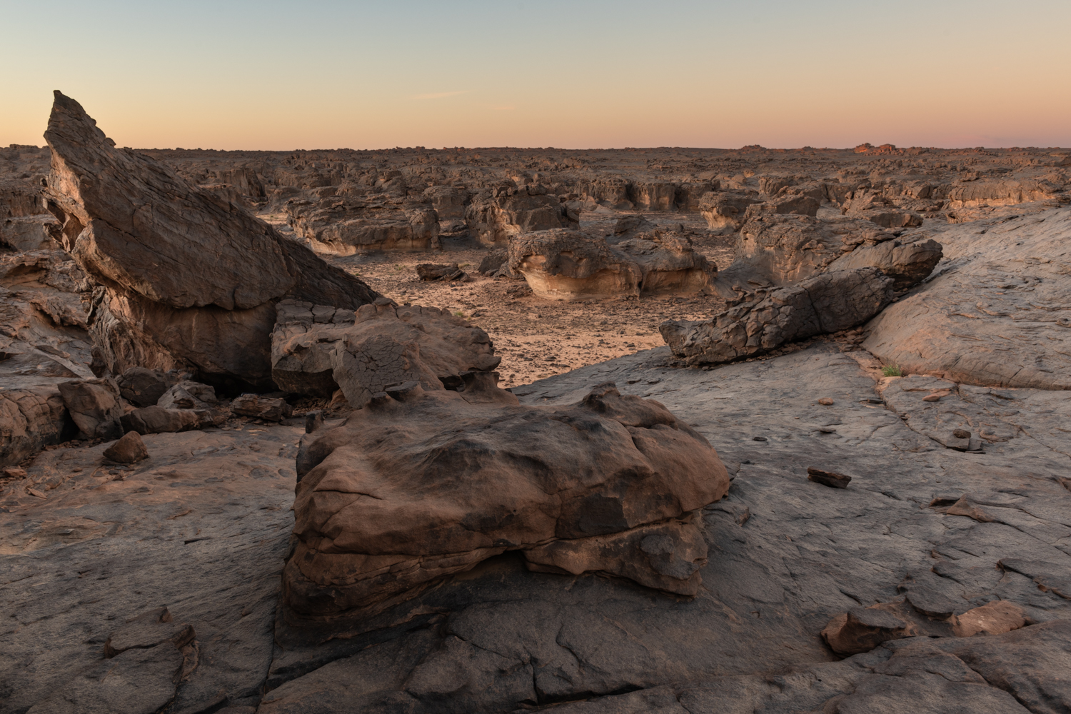 Le Sahara algérien dans le Tassili n'Ajjer