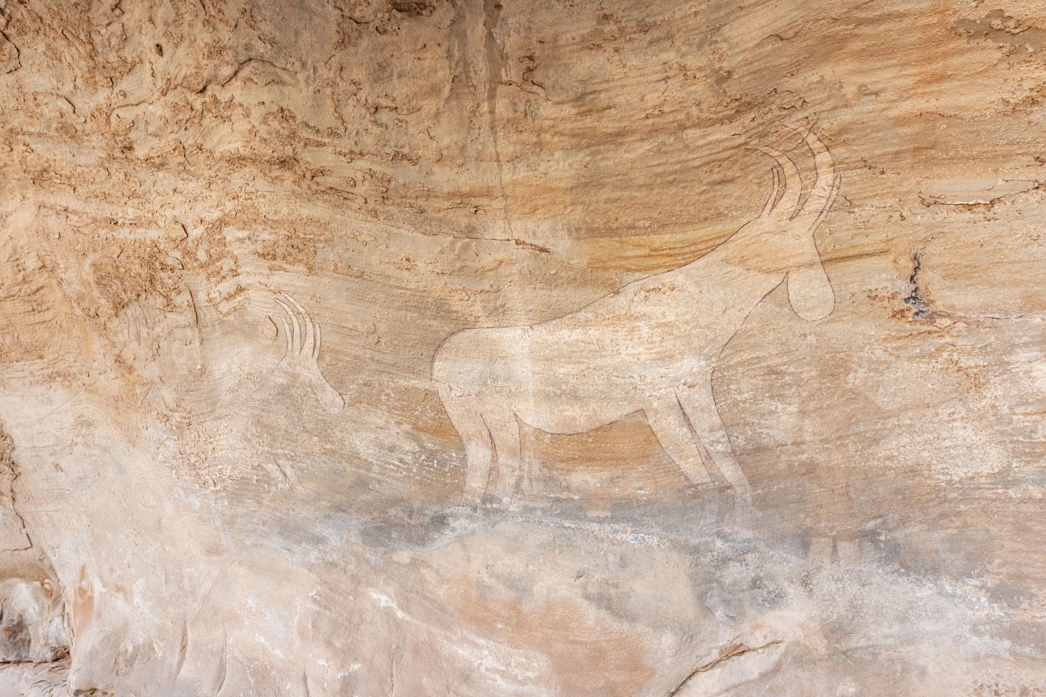 peinture rupestre au Tassili n'Ajjer