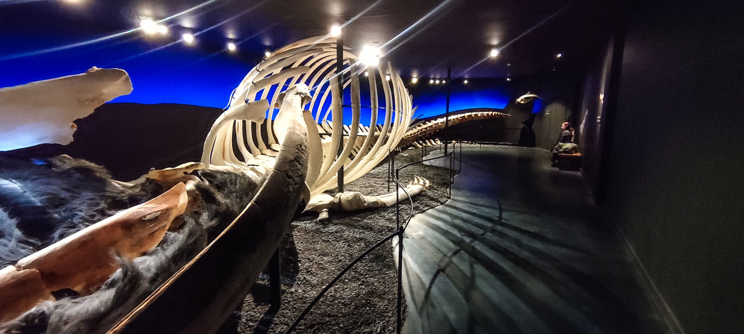 Le musée de la baleine de Husavik