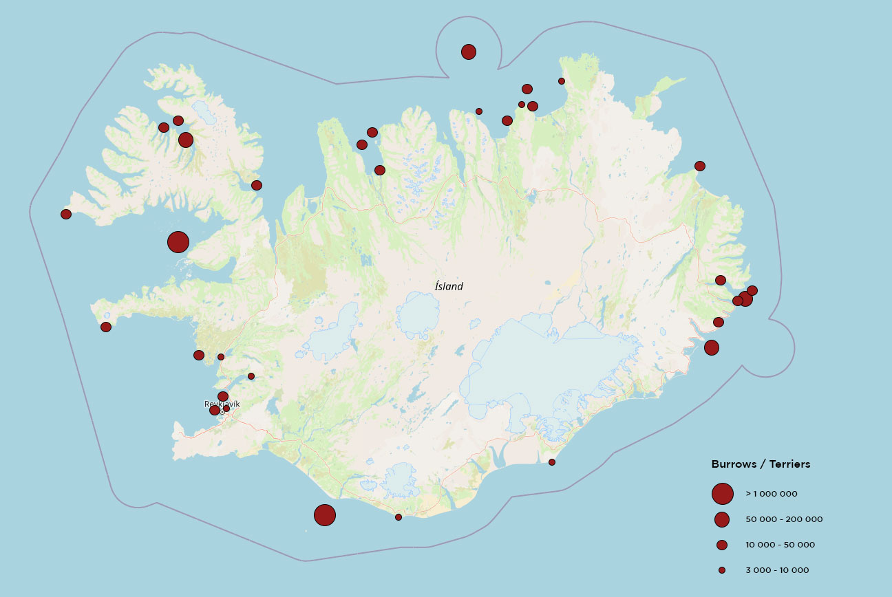 Map of puffins in Iceland